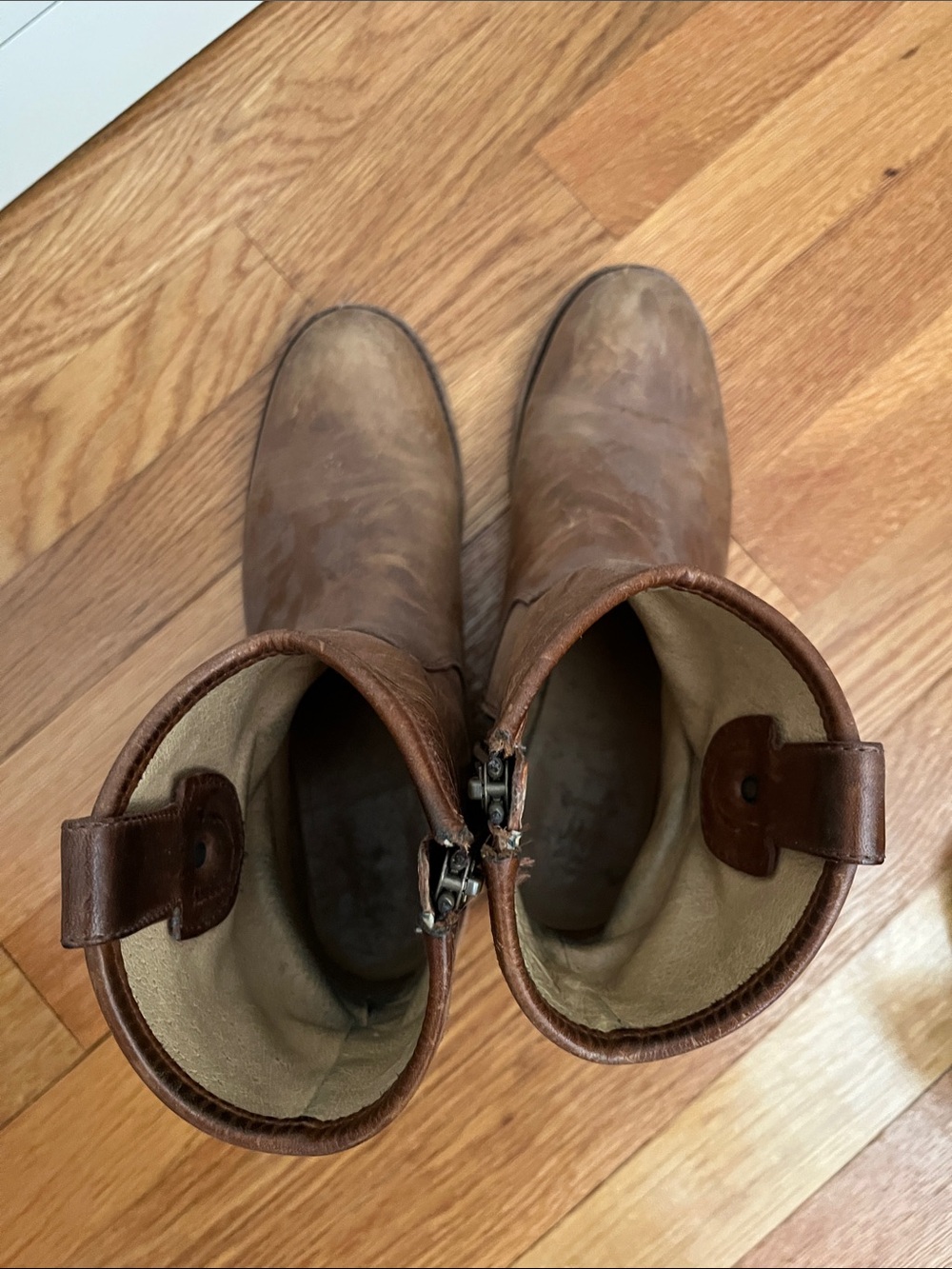 Frye boots - Picture 5 of 6